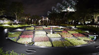 Gardens at Night-23.jpg